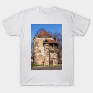 Wassertorturm, old town, Halberstadt, Harz, Saxony-Anhalt, Germany, Europe T-Shirt